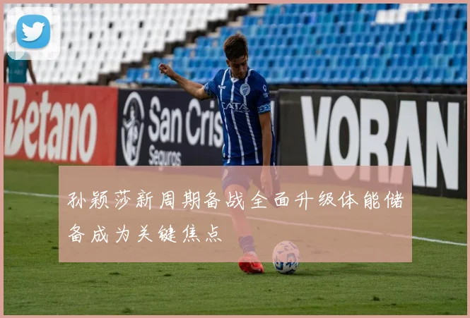 孙颖莎新周期备战全面升级体能储备成为关键焦点